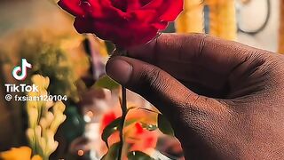 গোলাপ 2