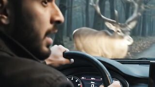 Man_encounters_deer_while_driving_🤒😽😭👹🙁🤞🐱‍👤😏😱🥵