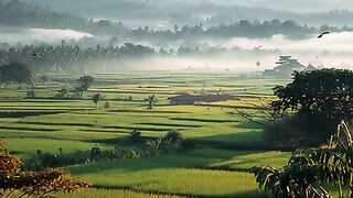 Ci anjur Indonesia bagian barat
