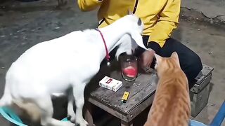 Funny