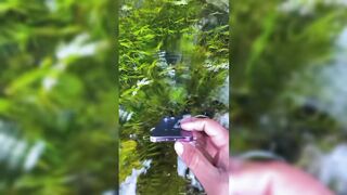 Like Looking Through Glass… 🌊✨ | A Completely Different World Beneath Crystal-Clear Water