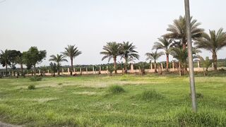 Beautiful place 73