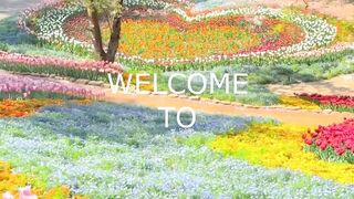 Japan beautiful natural place