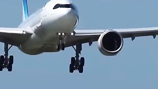 Corsair Airbus A330neo Close-up Landing!