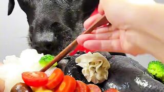 mukbang dogs