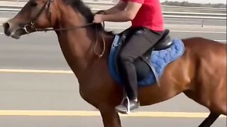 Horse riding 22