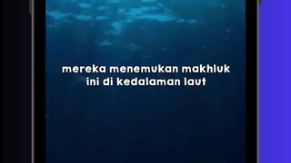 MAKHLUK INI DITEMUKAN DI DASAR LAUT! 😱  #ocean  #radex
