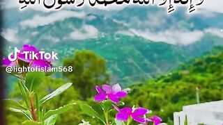 Video 683