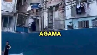 beginilah keseharian di brasil 2