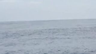 A disaster occurred in Indonesia, in the eastern Indonesia region of Flores.