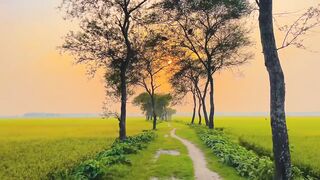 “এই নীরব সৌন্দর্যটাই যেন এক অদ্ভুত ভালো লাগা… 🌿🌙”