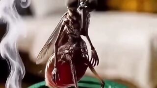 Mosquito dançante