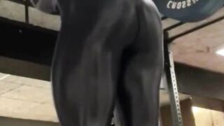 Maximizing Your Back Squat | Leg Day