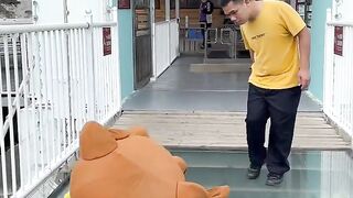 Funny video | Funny Bear #Short 18