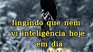 Motivaçaodiaria