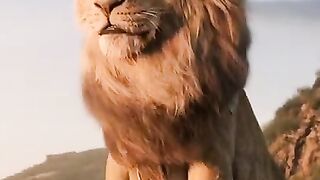 Simba