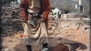 Emotional video