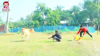 Fake Tiger Vs Crazy Man Prank Video! 2023 | So Funny Man REACTION With Fake Tiger | By ComicaL TV