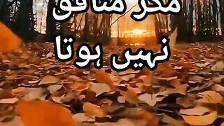 Such cha insane jazbate hota hai monafiq nahi