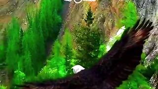 Zamin par girne ka dar.......... subscribe my channel