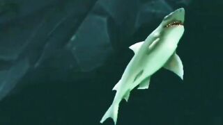 Hungry Shark evolution#hungry #hungryshark#hungrysharkevolution.