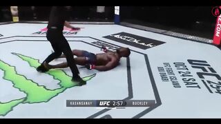 Top 13 Most Brutal Head-Kick Knockouts