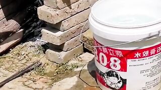 OMG! DOG TAKING A BATH