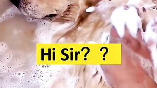 Is sir asleep??