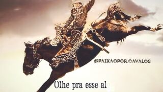 Motivaçaodiaria