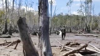 Traditional Fishing in a Tropical Swamp | Papua, Indonesia