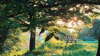 Green🌳 garden