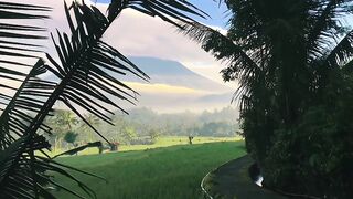 🌄 A Breathtaking View of the Mountains