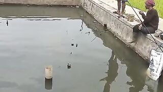 Penangkapan ikan bawal besar