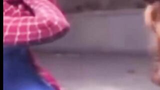 spider fat😂😂😂😂