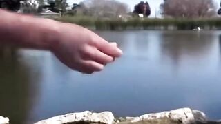 Stone 5