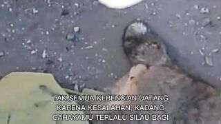 Quote life