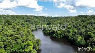 Stunning landscape of Amazon Forest at Amazonas State Brazil.