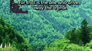Quran telauat 💗