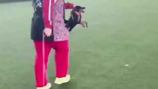 Приколы с животными 9