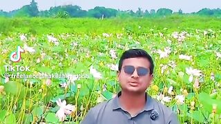 পদ্মফুল❤️