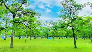 simul garden,Sunamganj