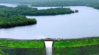 Beautiful Nature View 🌿💧 | Peaceful Lake & Green Scenery