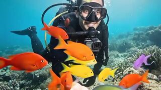 7 Colors of Fish Swarmed Him Underwater