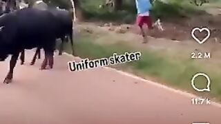 Skating is lifestyle