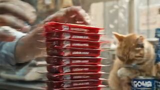 When your bodega cat unionizes over Slim Jims 🥩🐈
