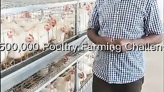 ₦500,000 Poultry Farming Challenge