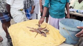 முத்துக்குடா மீன் ஏலம்