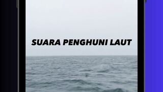 🌊 SUARA ANEH DARI TENGAH LAUT! 😨