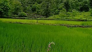 आमचा कोकण
