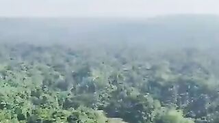 The beauty of green nature seen from the sky | Beautiful Nature Drone View 🌳